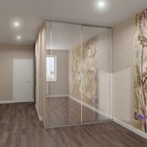 Шкаф-купе с зеркальным фасадом